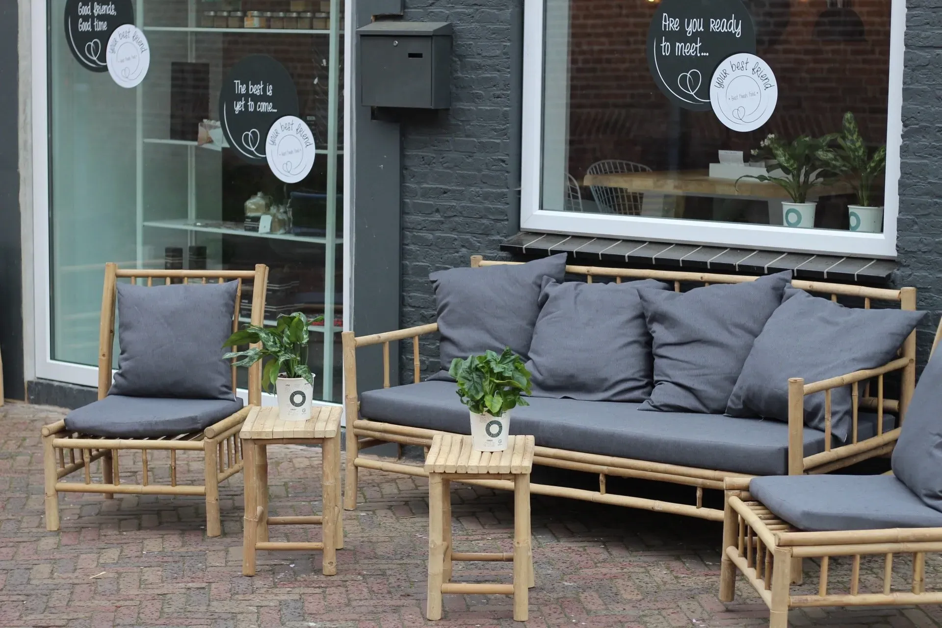 terras_your_best_friend_joure